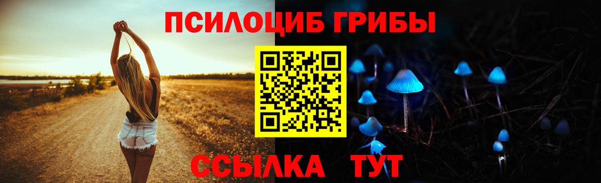 Псилоцибиновые грибы прущие грибы Тимашёвск